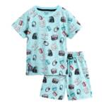 Hopscotch Boys Cotton Short set in Aqua Color For Ages (5-6 Years)