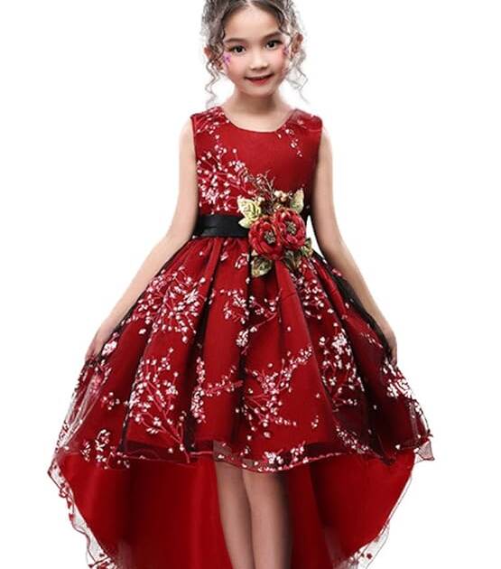 WEONEDREAM Princess Girls Dress for Wedding Birthday Party with Train Size 3-14 Years