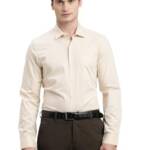 Turtle Men Pure Cotton Slim Fit Dobby Full Sleeve Beige Formal Shirt